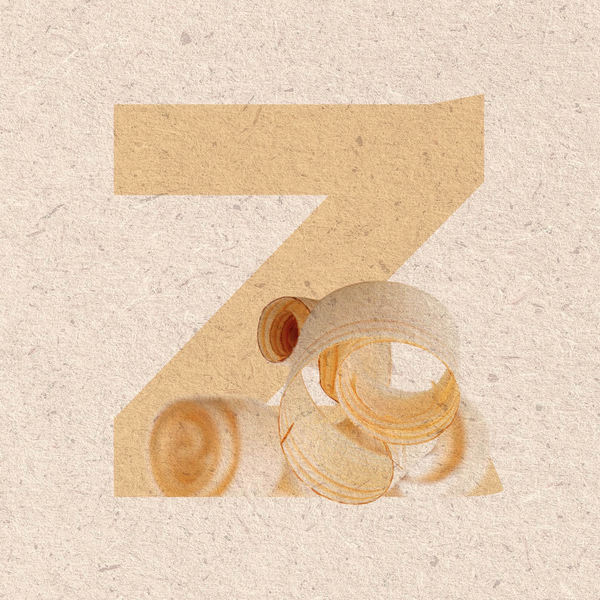 alpenxund bg letter z rgb opt