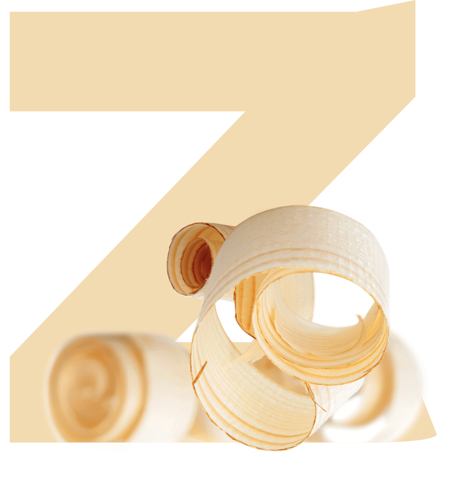 alpenxund letter z rgb opt